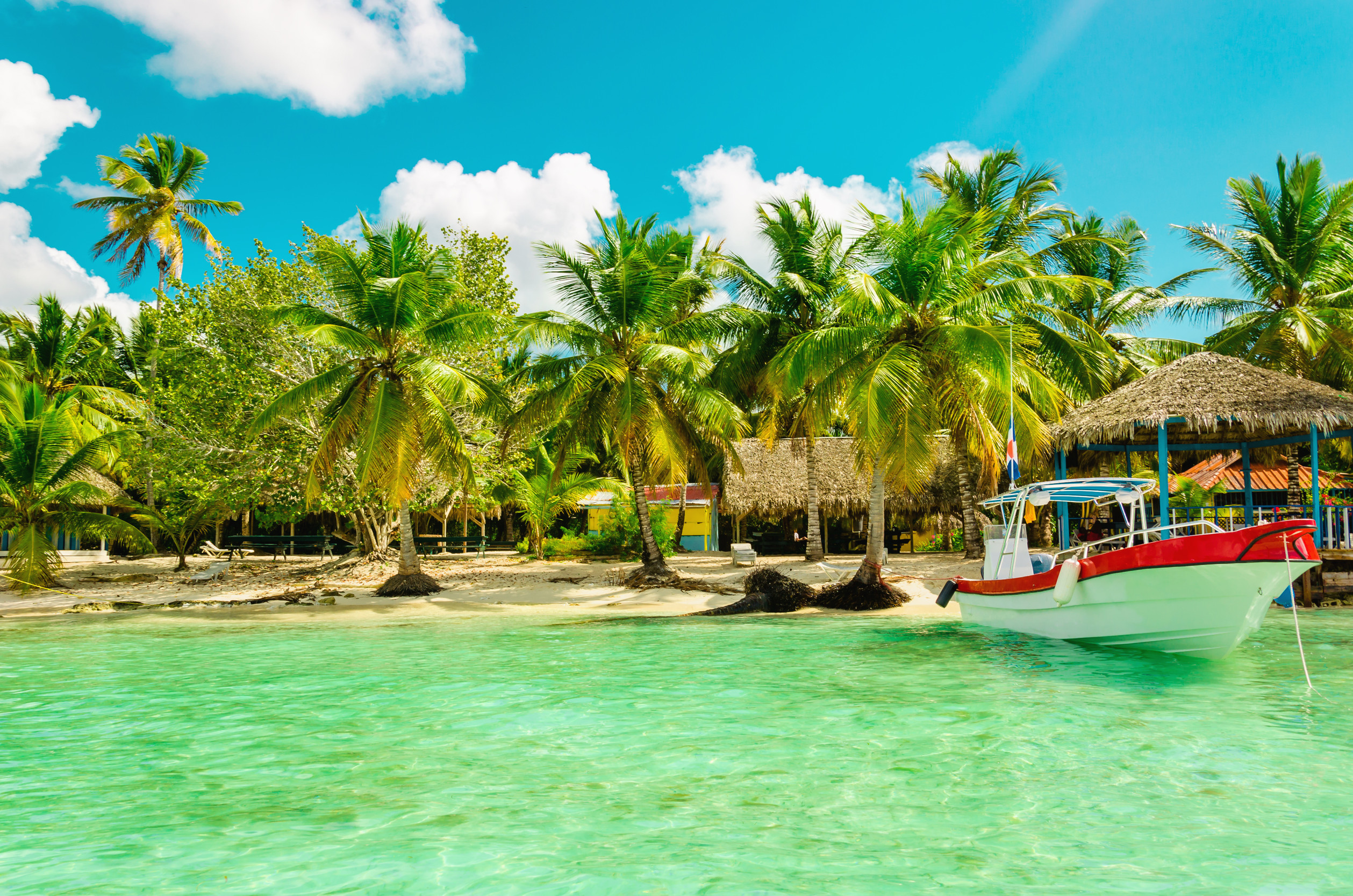 amazing exotic palm tree beach with colorful boat