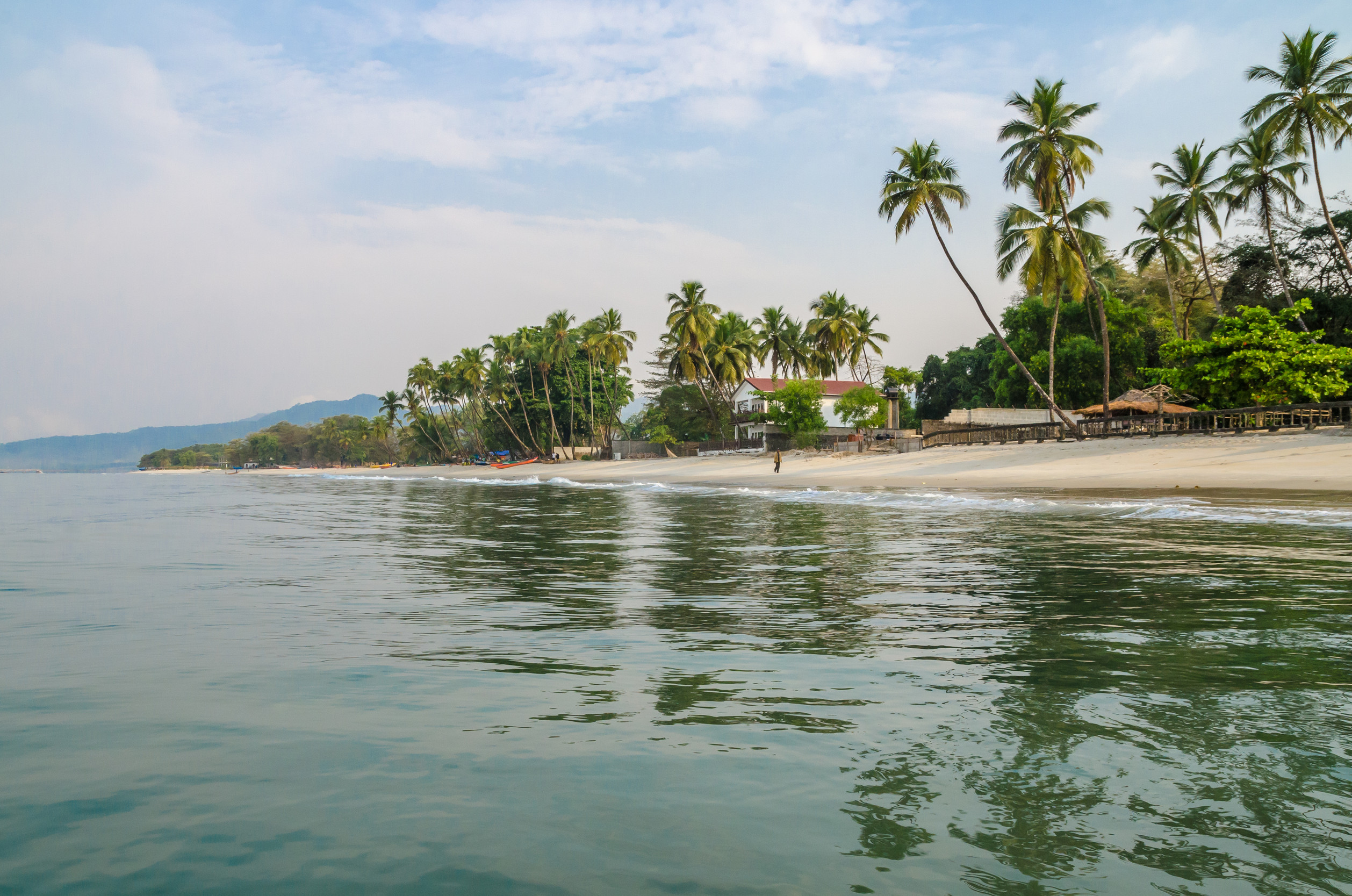 calm water palm trees and white sand beach at tokeh beach south of freetown sierra leone