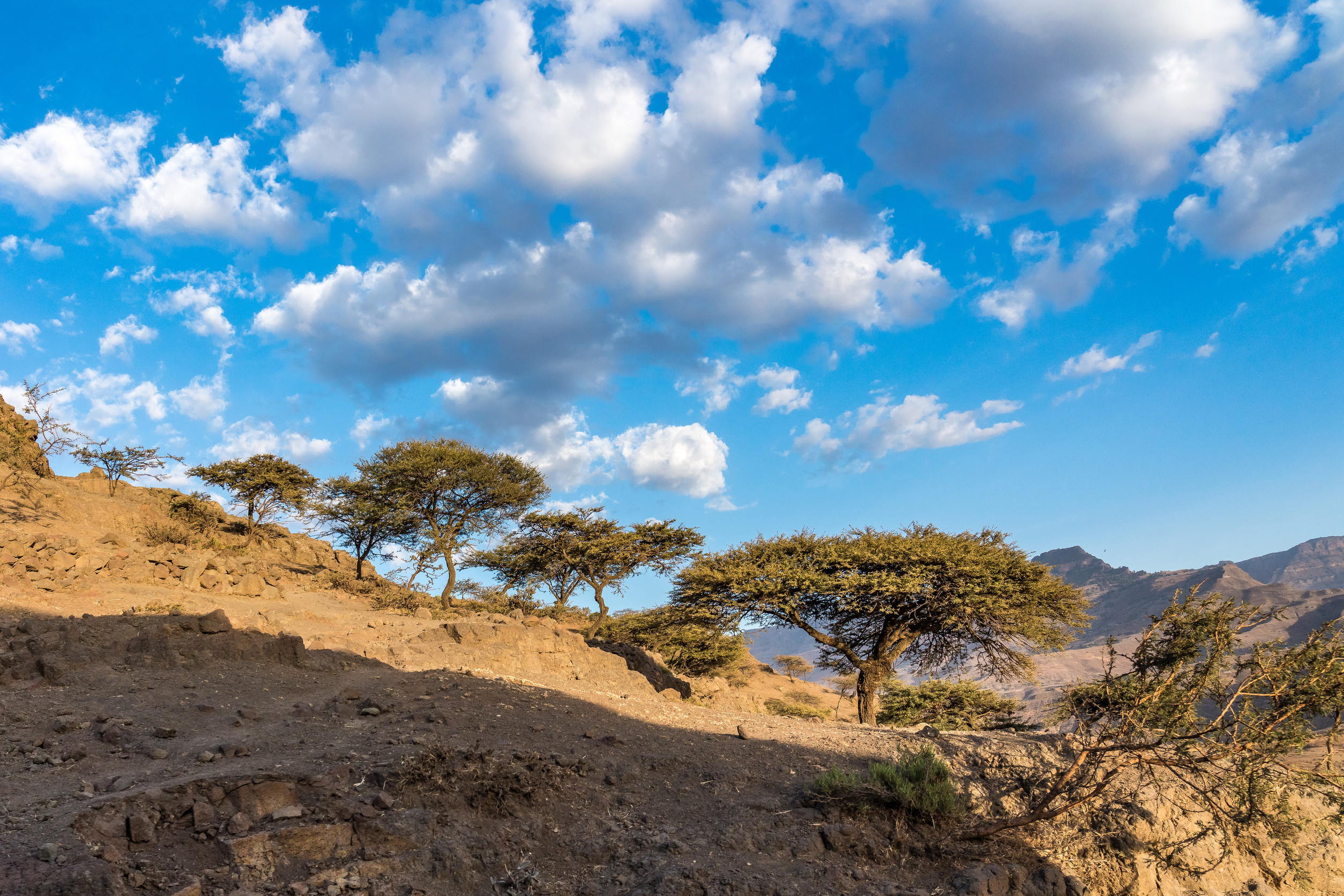 a little village in the simien mountains national park in northern ethiopia