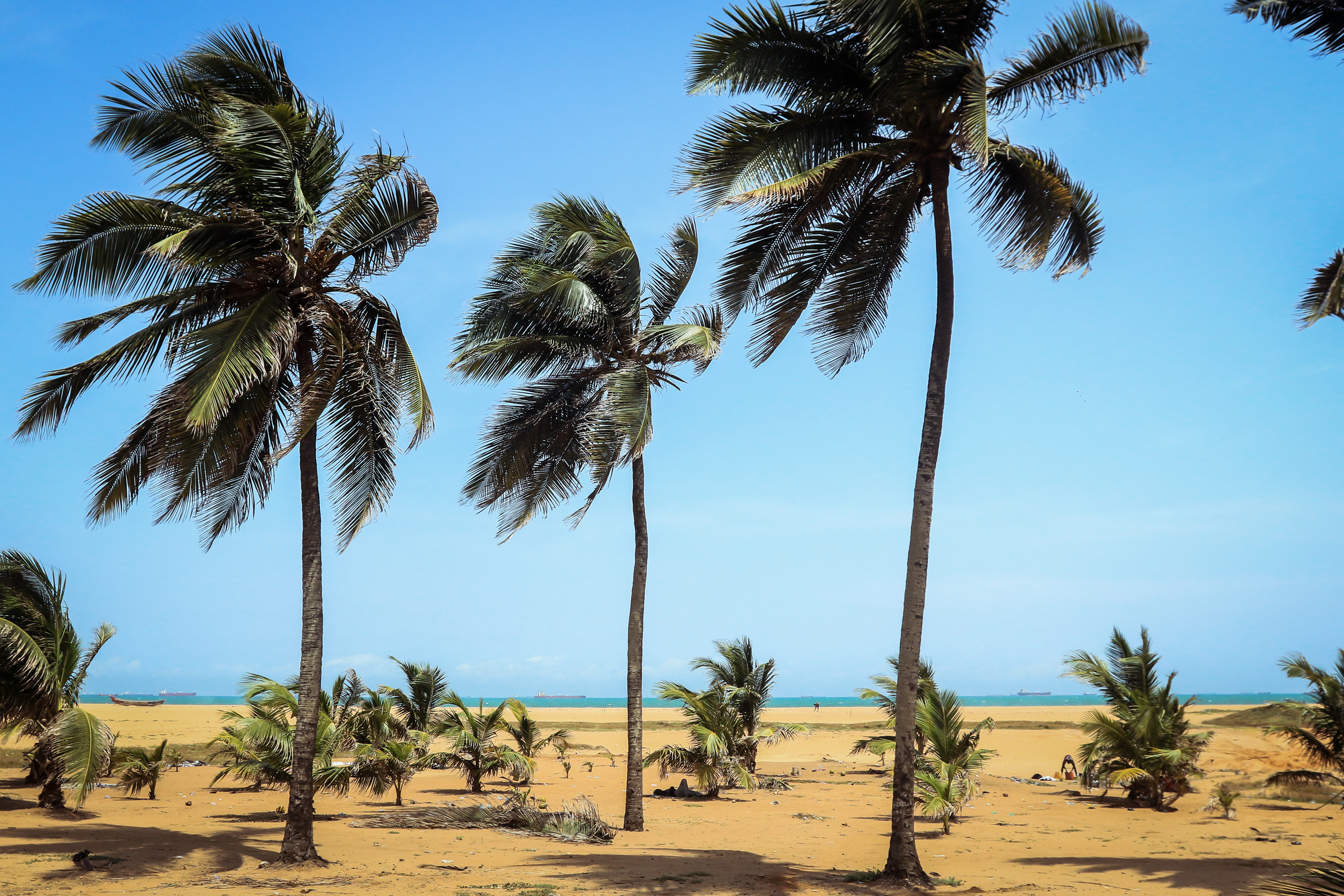 ocean seaside trees and sandy beach in togo west africa