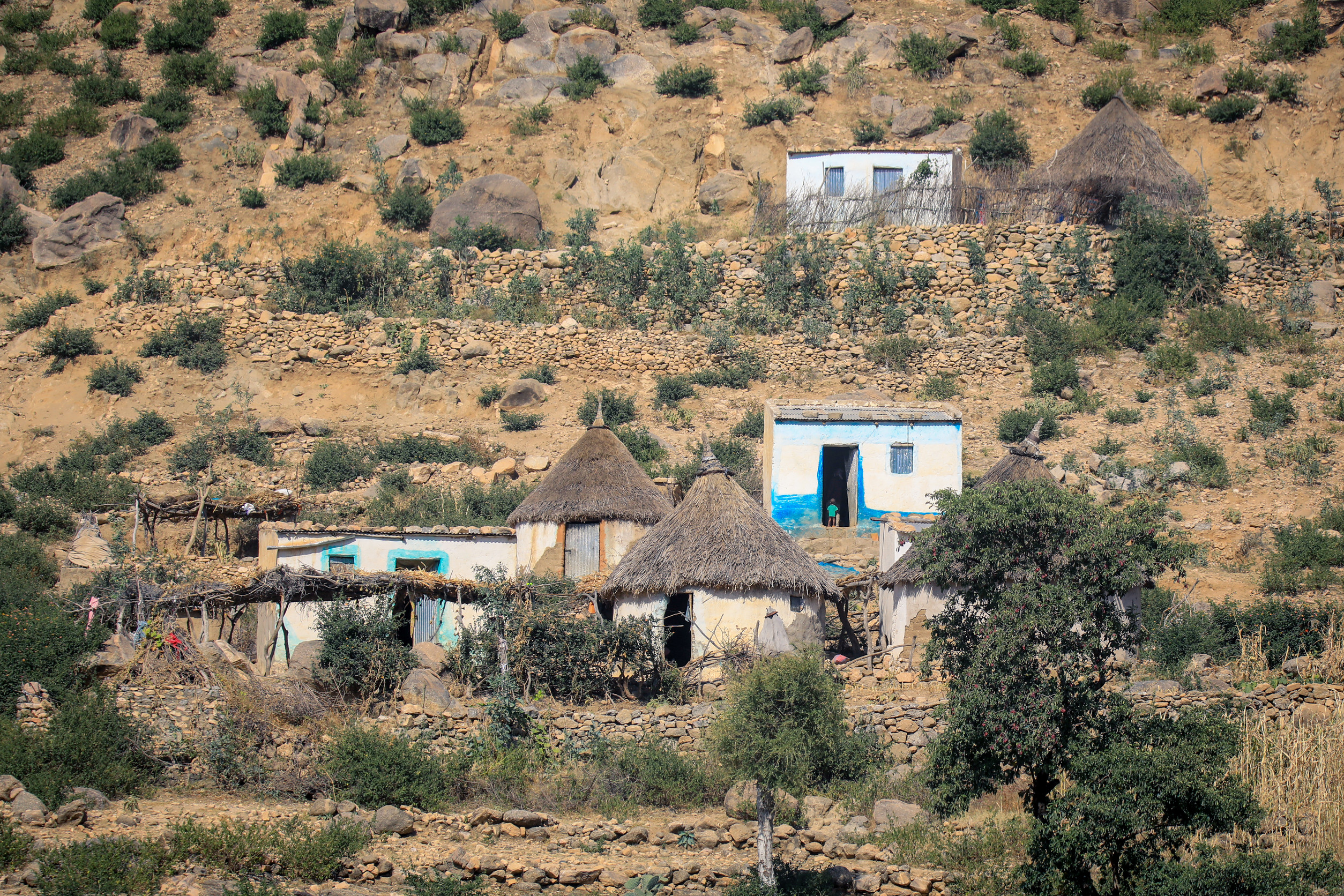 small local village typical keren houses eritrea